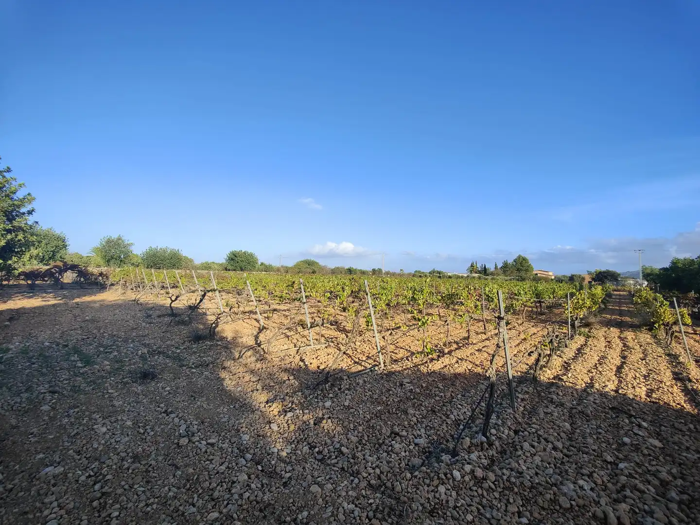 Residencial en venda en Consell