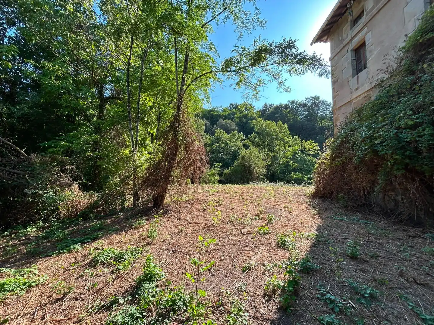 Haus mit Terrasse zum Verkauf in Barrio Barrio Molinar, imagen 7