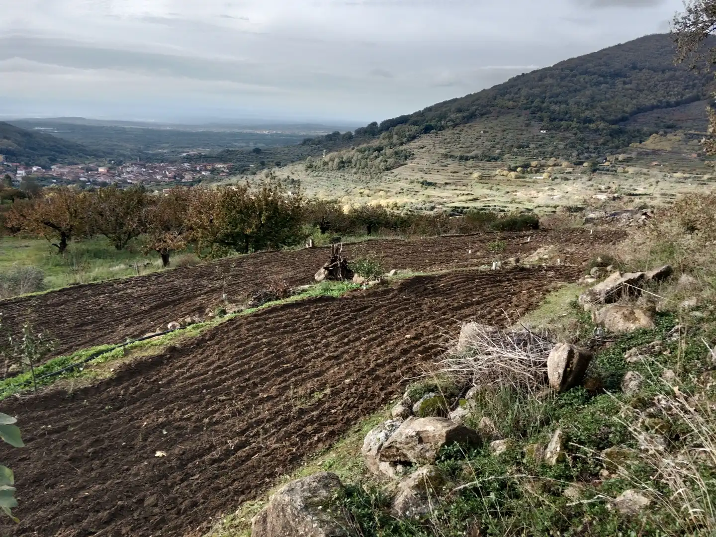 Terreni e lotti in vendita a Pasarón de la Vera, imagen 30