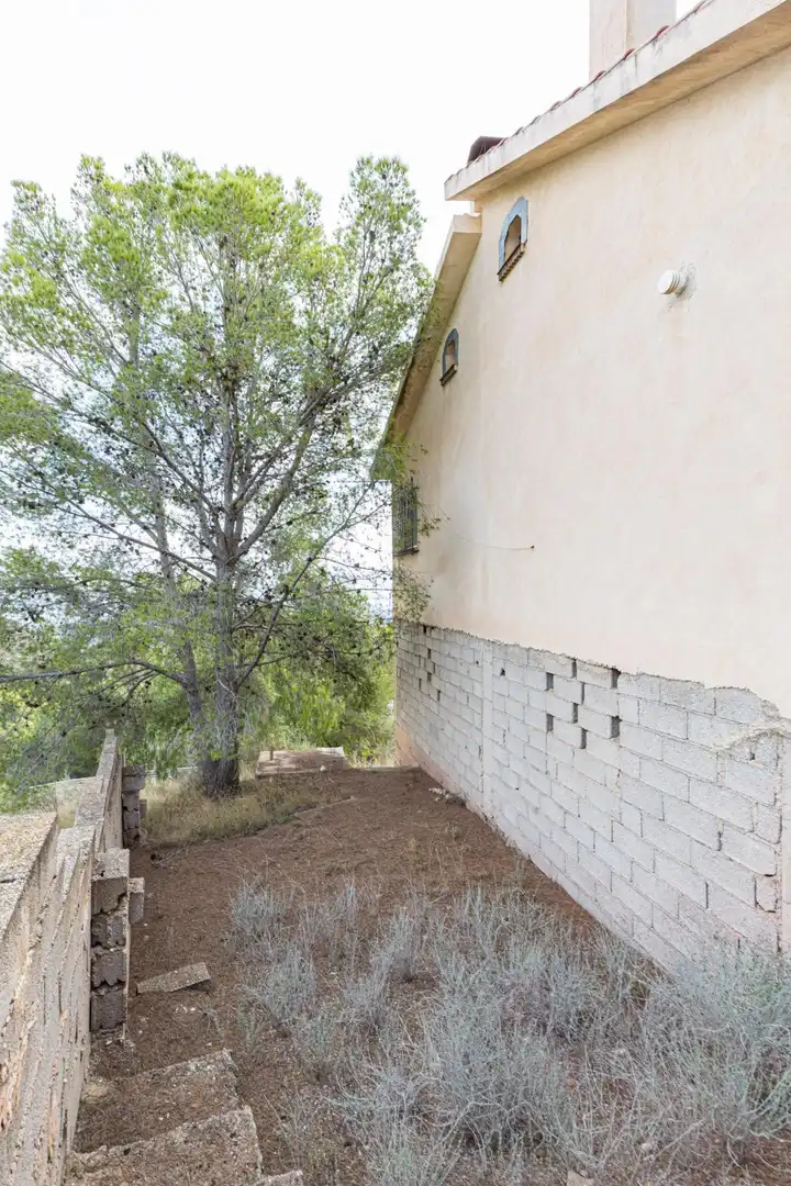 Exterior view of Houses for sale in Aledo