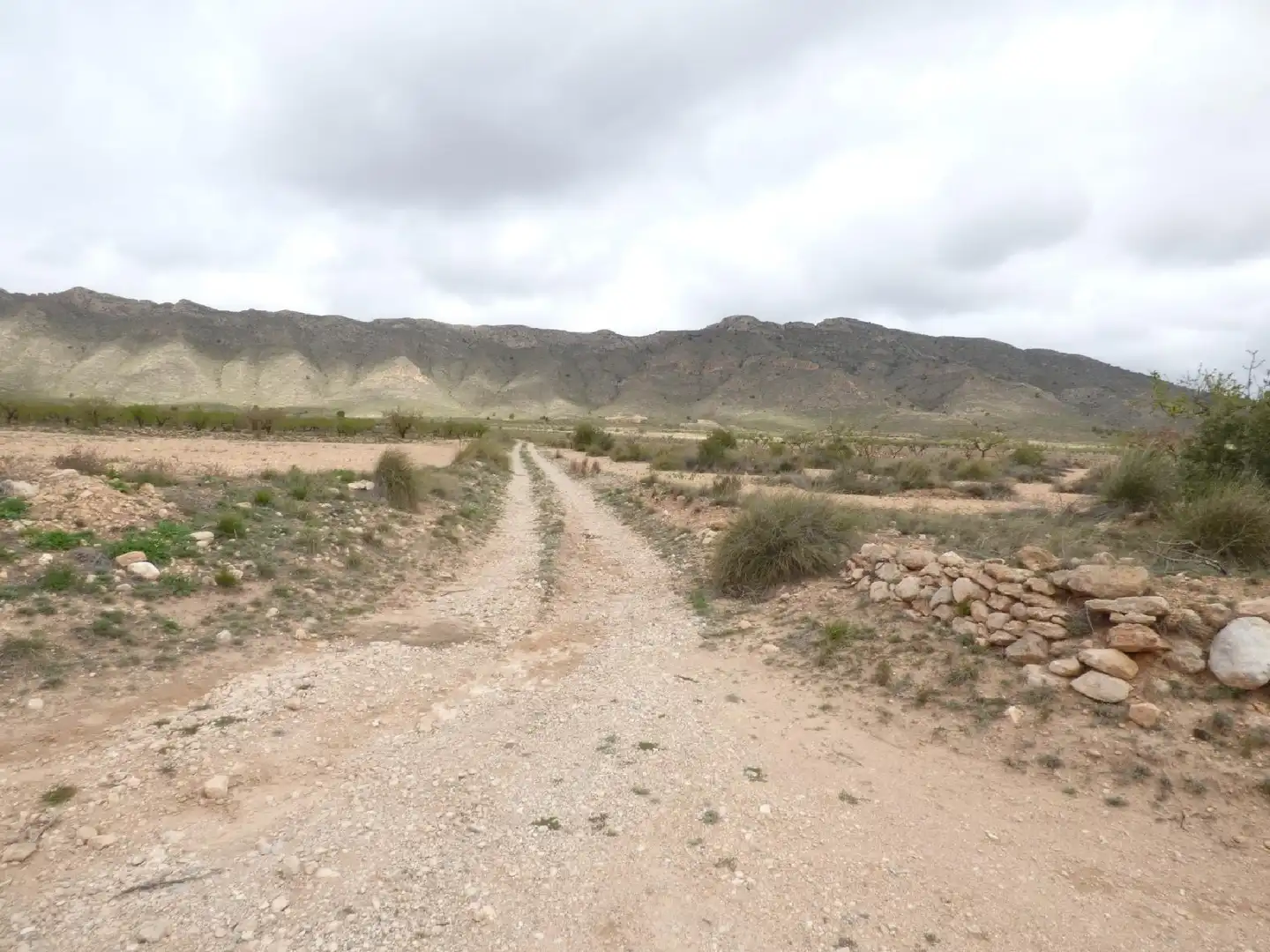 Rustikales Grundstück zum Verkauf in Jumilla, imagen 11