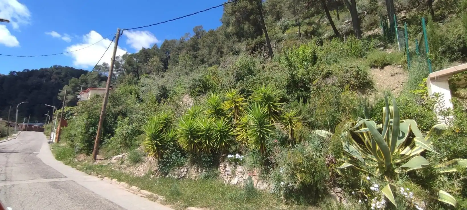 Lands and plots for sale in Vallirana, imagen 10
