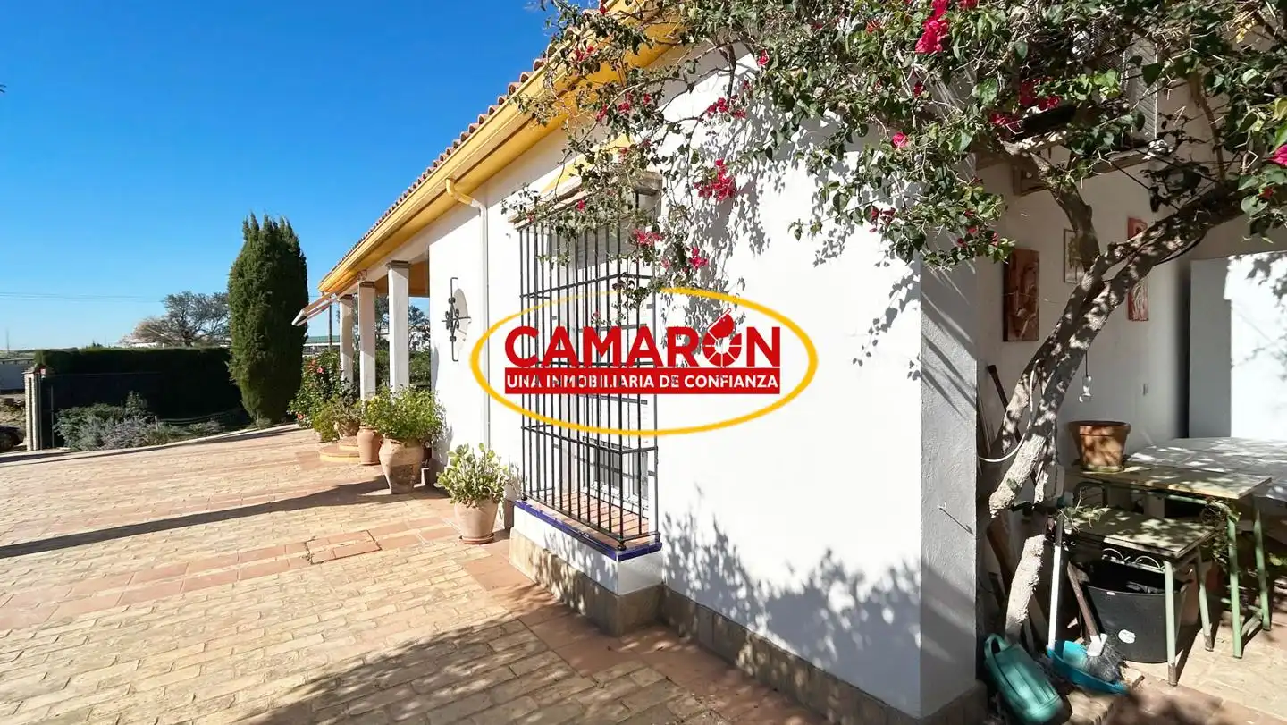 Jardí de Finca rústica en venda en Coria del Río amb Jardí privat i Piscina