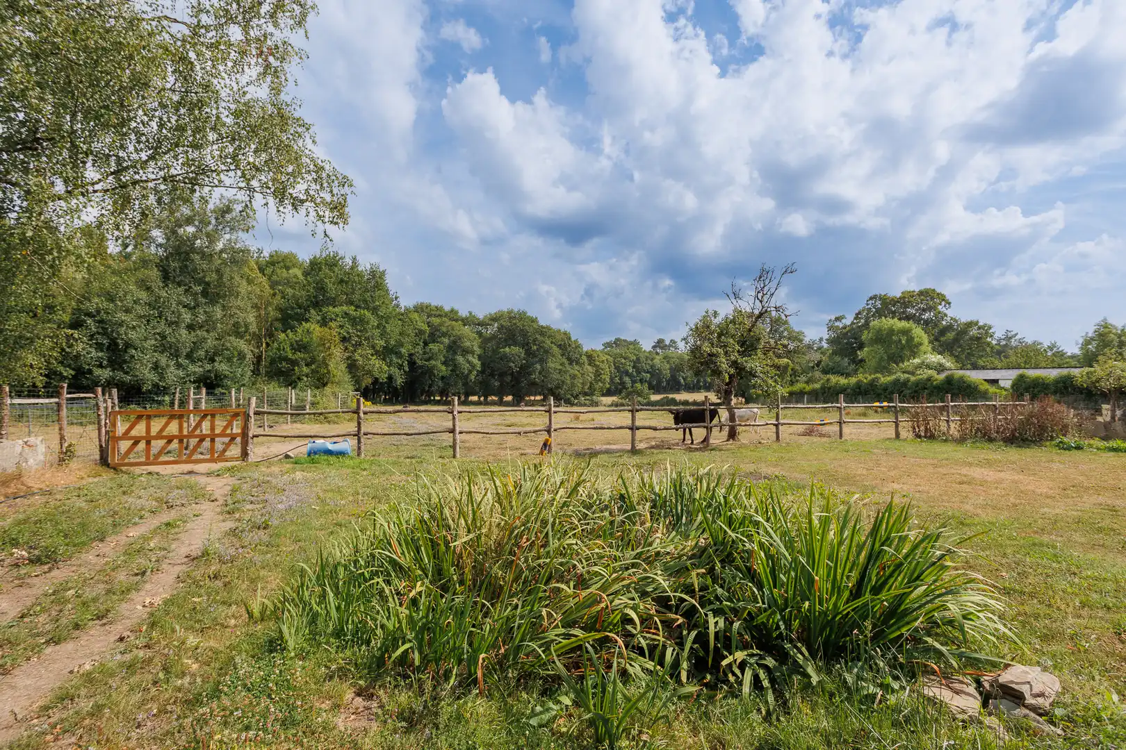 Finca rústica en venta en Begonte