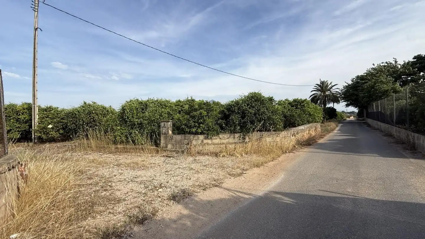 Terreny rústic en venda a Carcaixent, imagen 2
