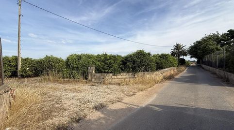 Terreno de naranjos con posibilidad de construir, immagine 2