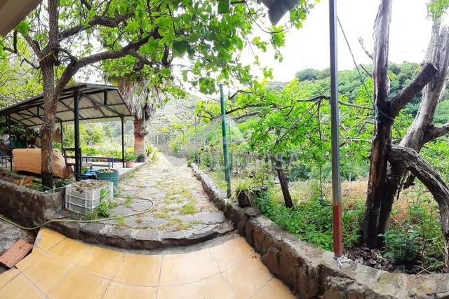 Finca rústica en Venta en El Álamo - Arbejales