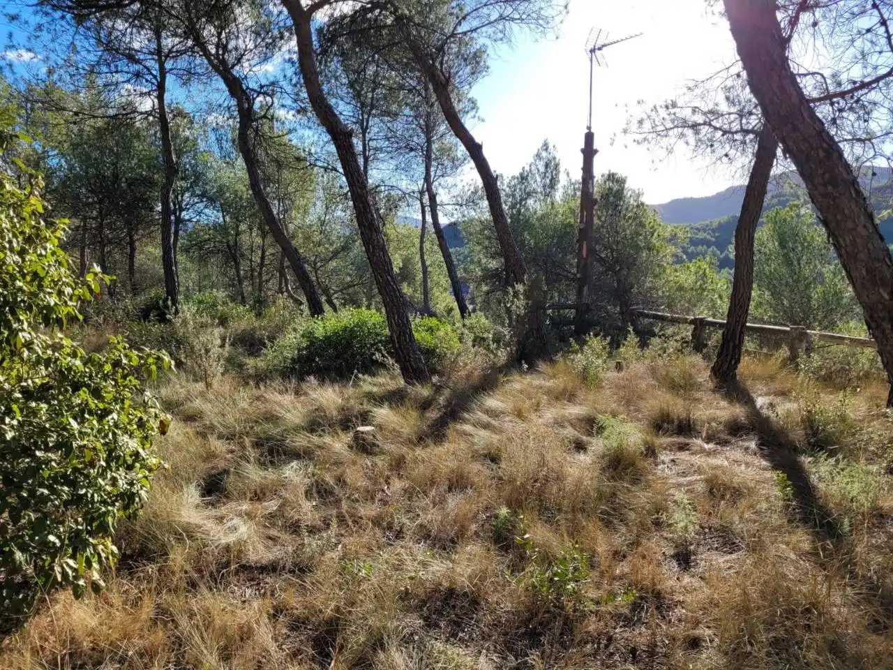 Casa o xalet en venda en Vacarisses amb Aire condicionat, Jardí privat i Piscina