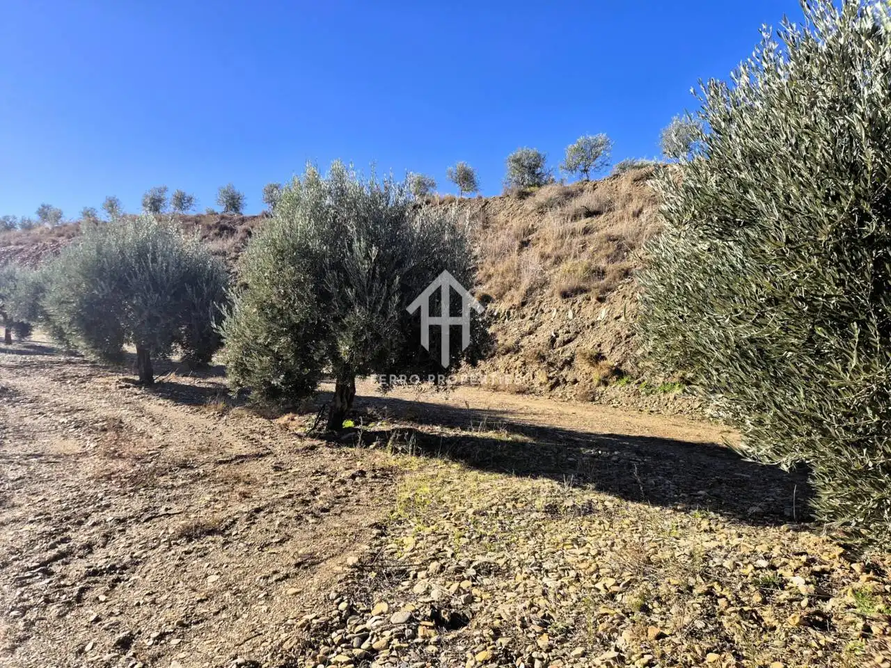 Lands and plots for sale in Lanteira, imagen 19