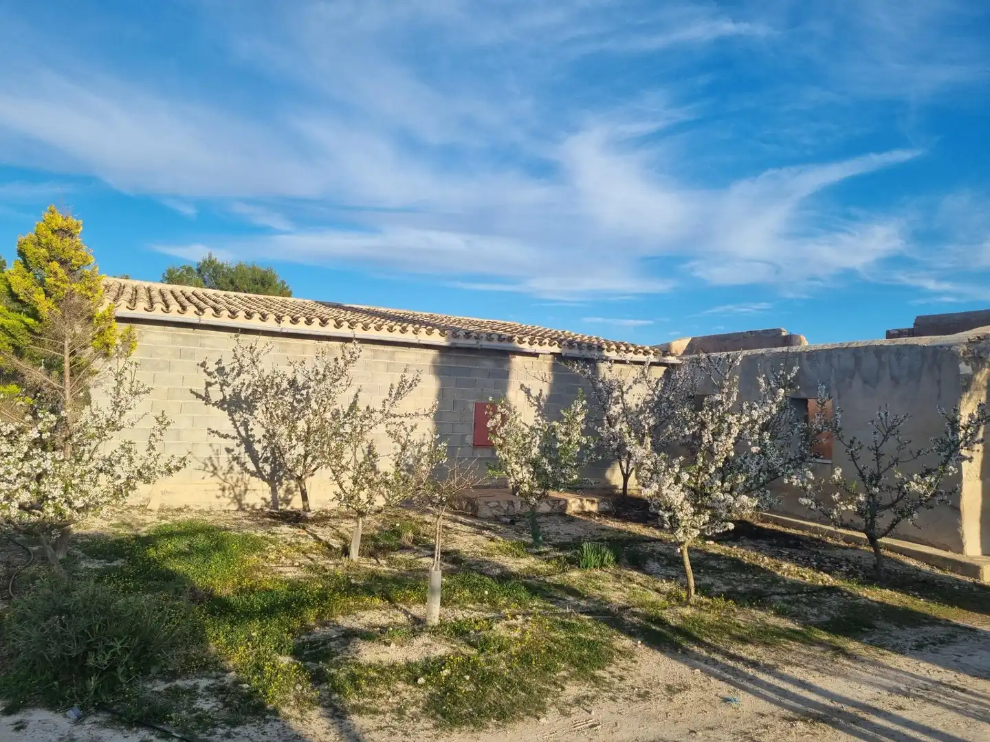Vista exterior de Casa o xalet en venda en Cieza