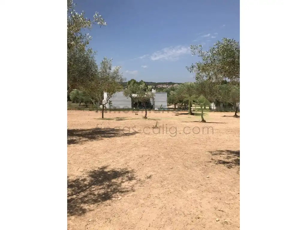 Casa amb piscina en venda a San Jorge / Sant Jordi, imagen 33
