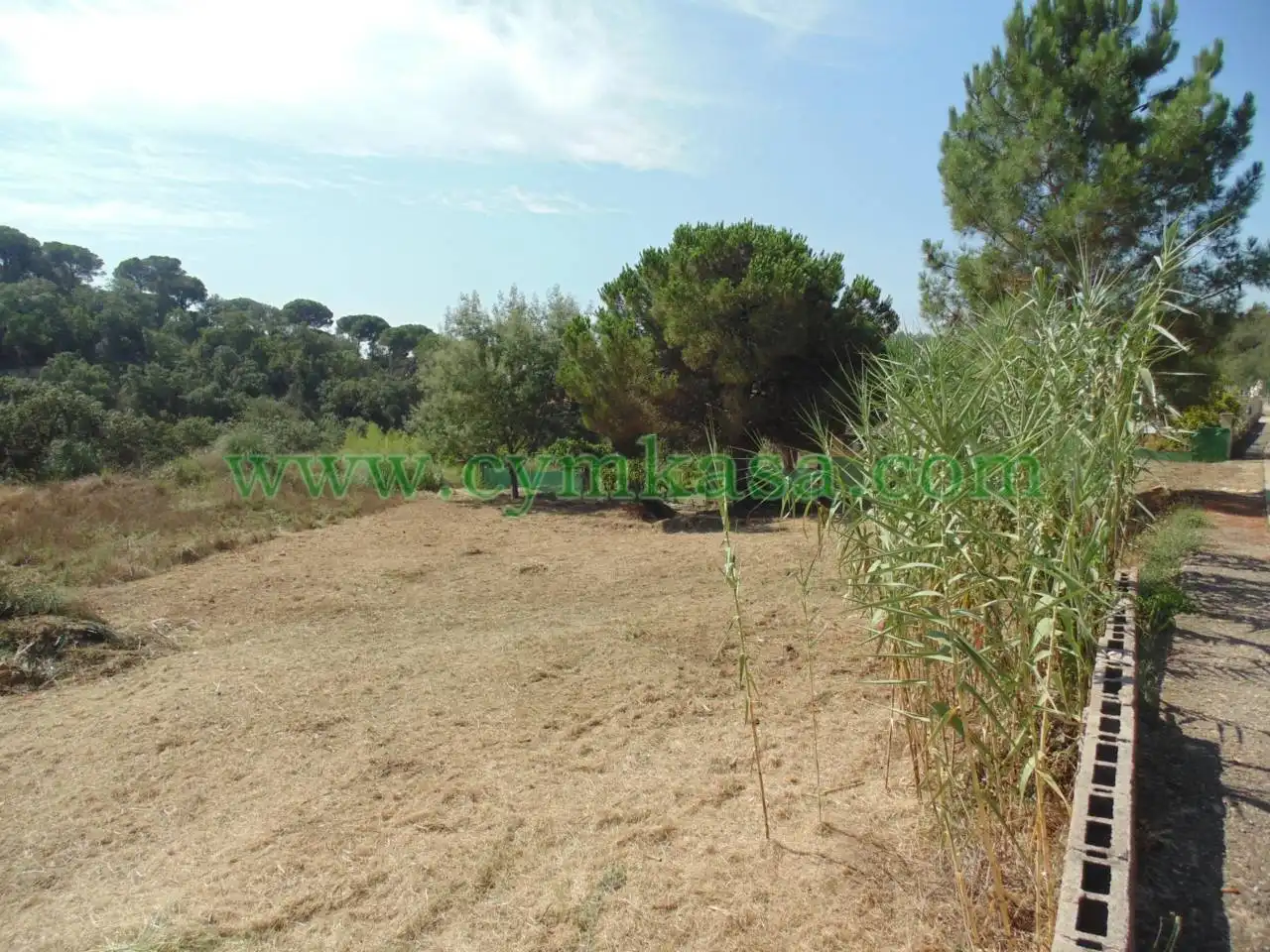 Terreny residencial en venda a Lloret Verd - Els Pinars, imagen 7