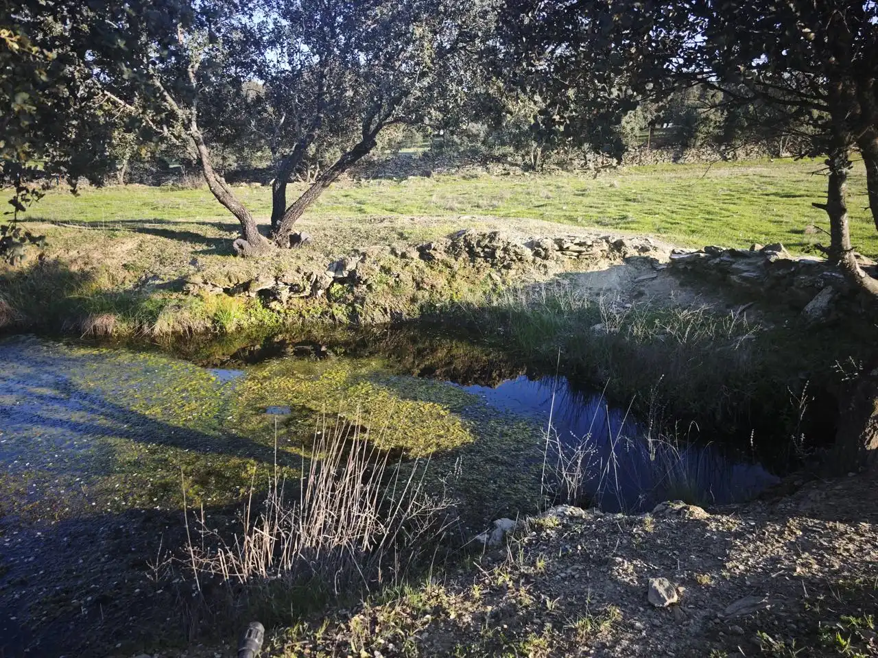 Planta baja en venta en Plasencia