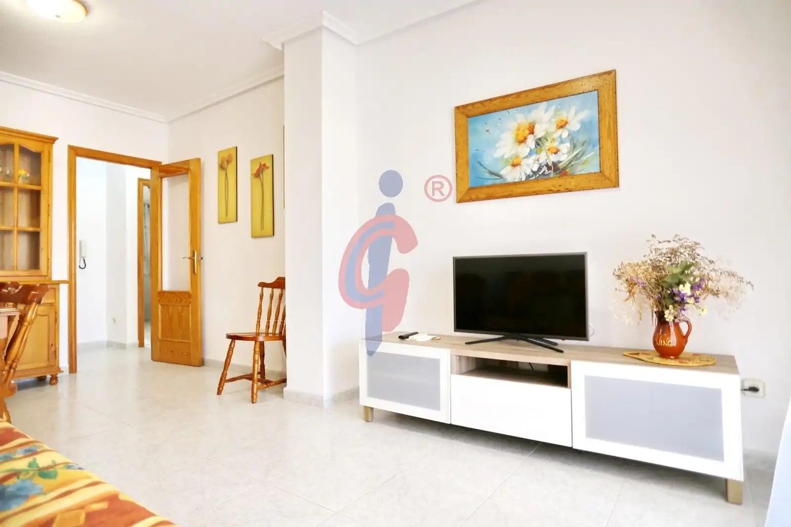 Living room of Apartments for sale in Guardamar del Segura  with Air Conditioner, Terrace and Furnished