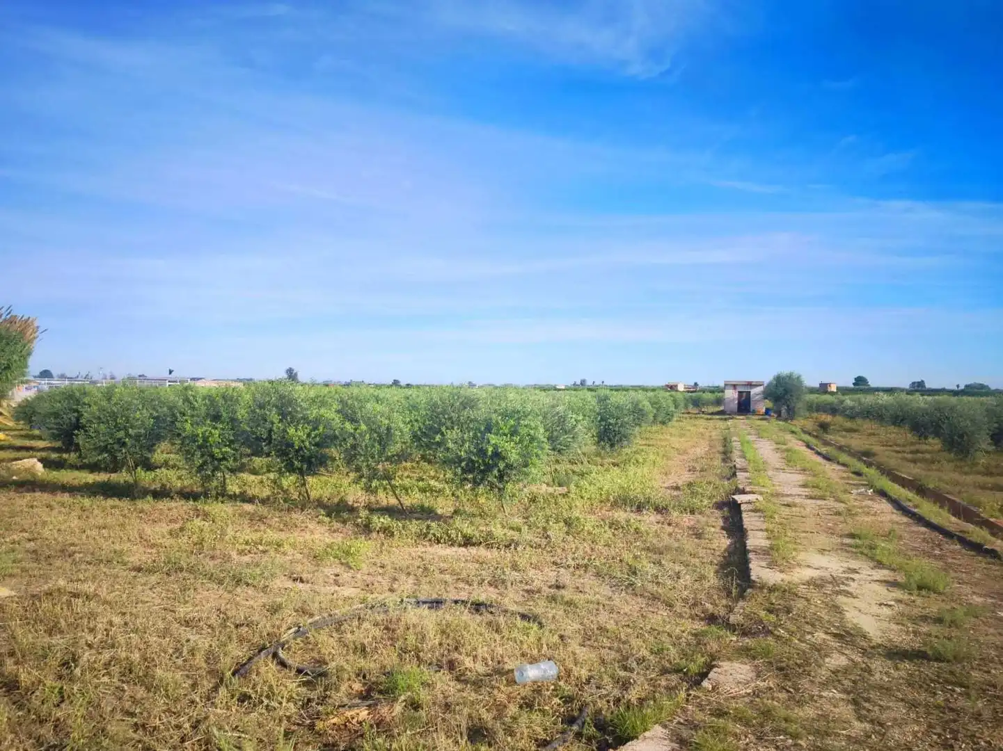 Lands and plots for sale in Fortaleny, imagen 3