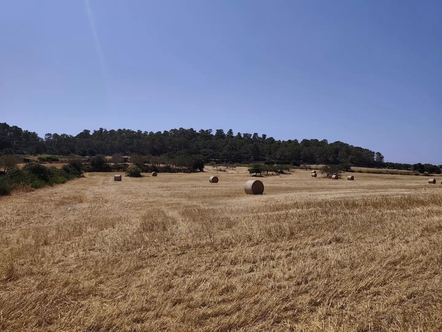 Terreno rústico en venta en Porreres, imagen 4