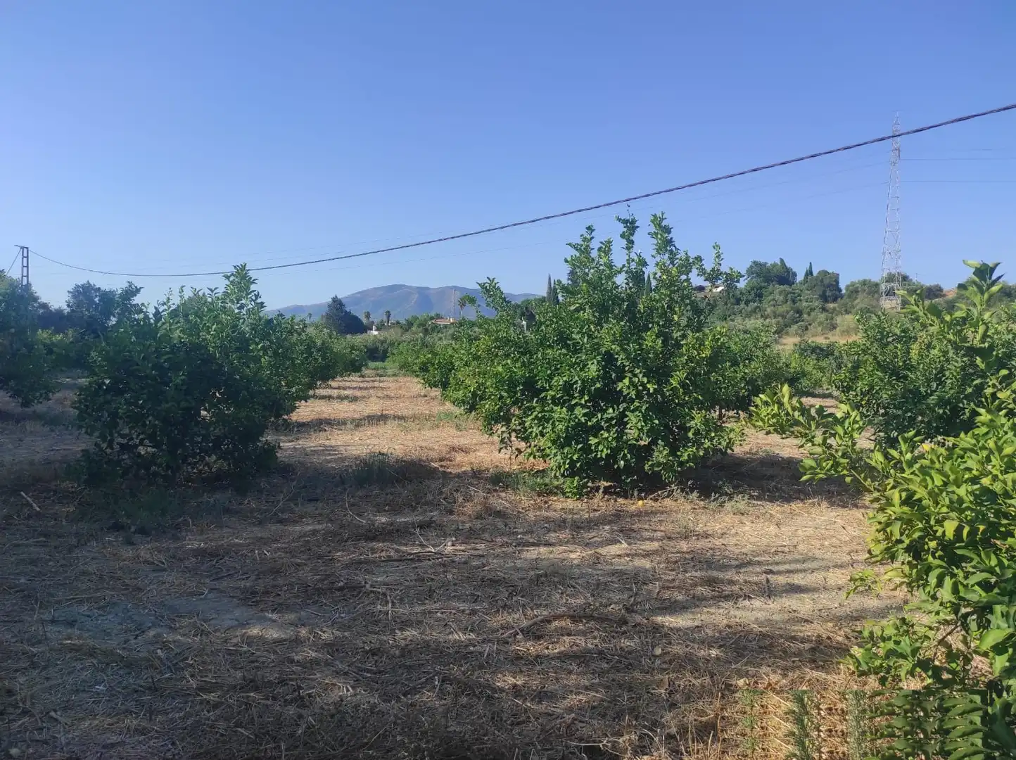 Terreno rustico in vendita a Villafranco del Guadalhorce, imagen 9