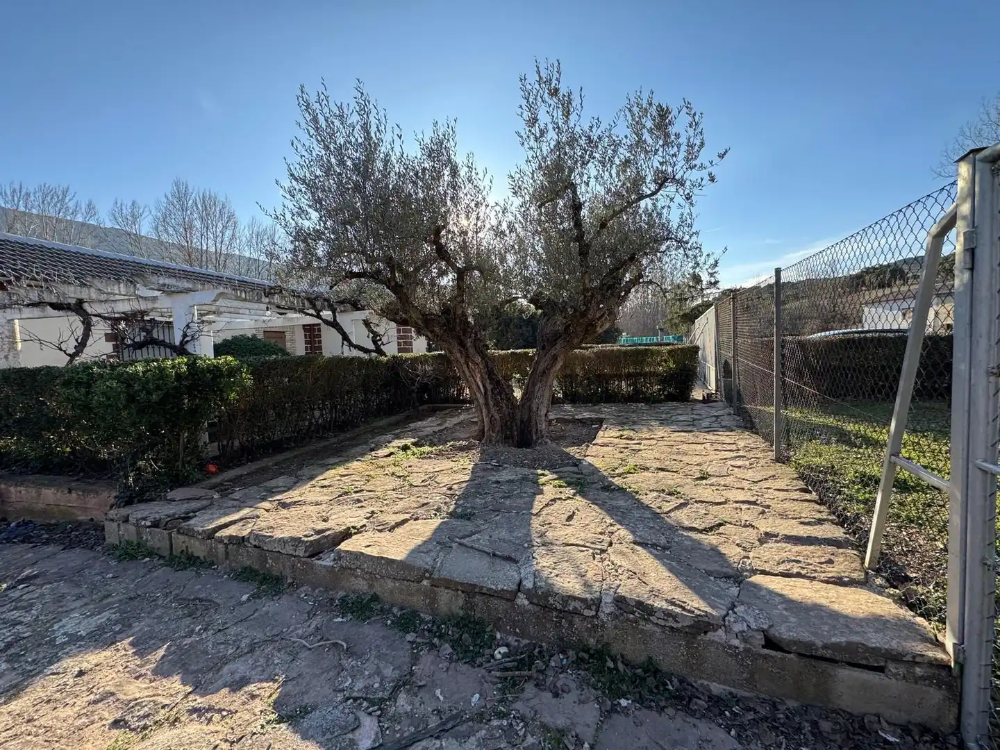 Garden of Houses for sale in Aranda de Moncayo  with Private garden and Storage room
