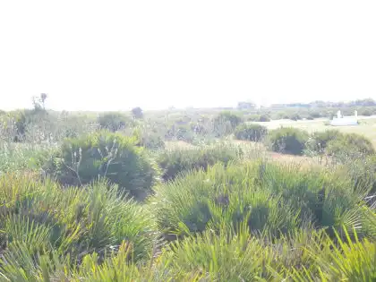 Terreni e lotti in vendita a Vejer, imagen 16