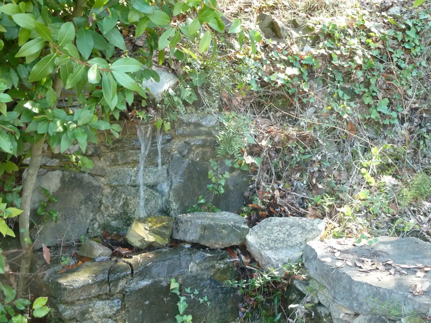 Jardín de Terreno en venta en Torroja del Priorat