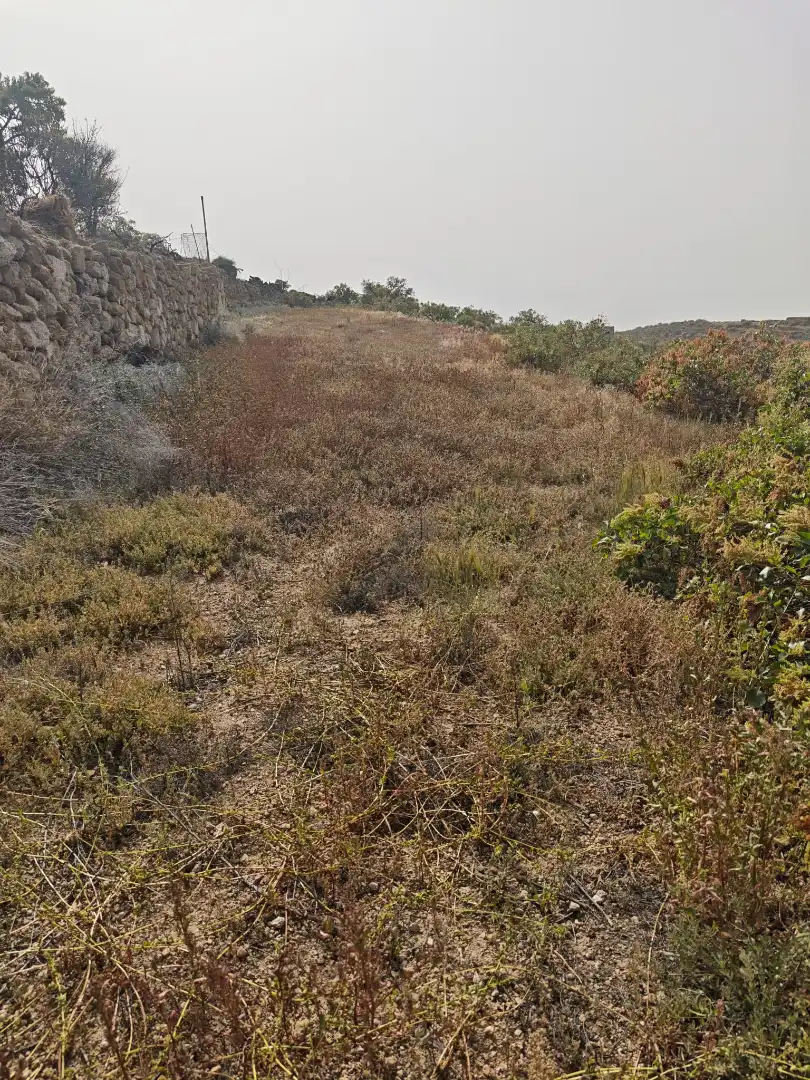 Terreno en venta en Arico