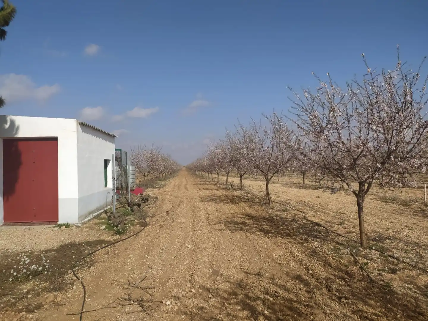 Terreno rústico en venta en Travesía Socuéllamos, imagen 4