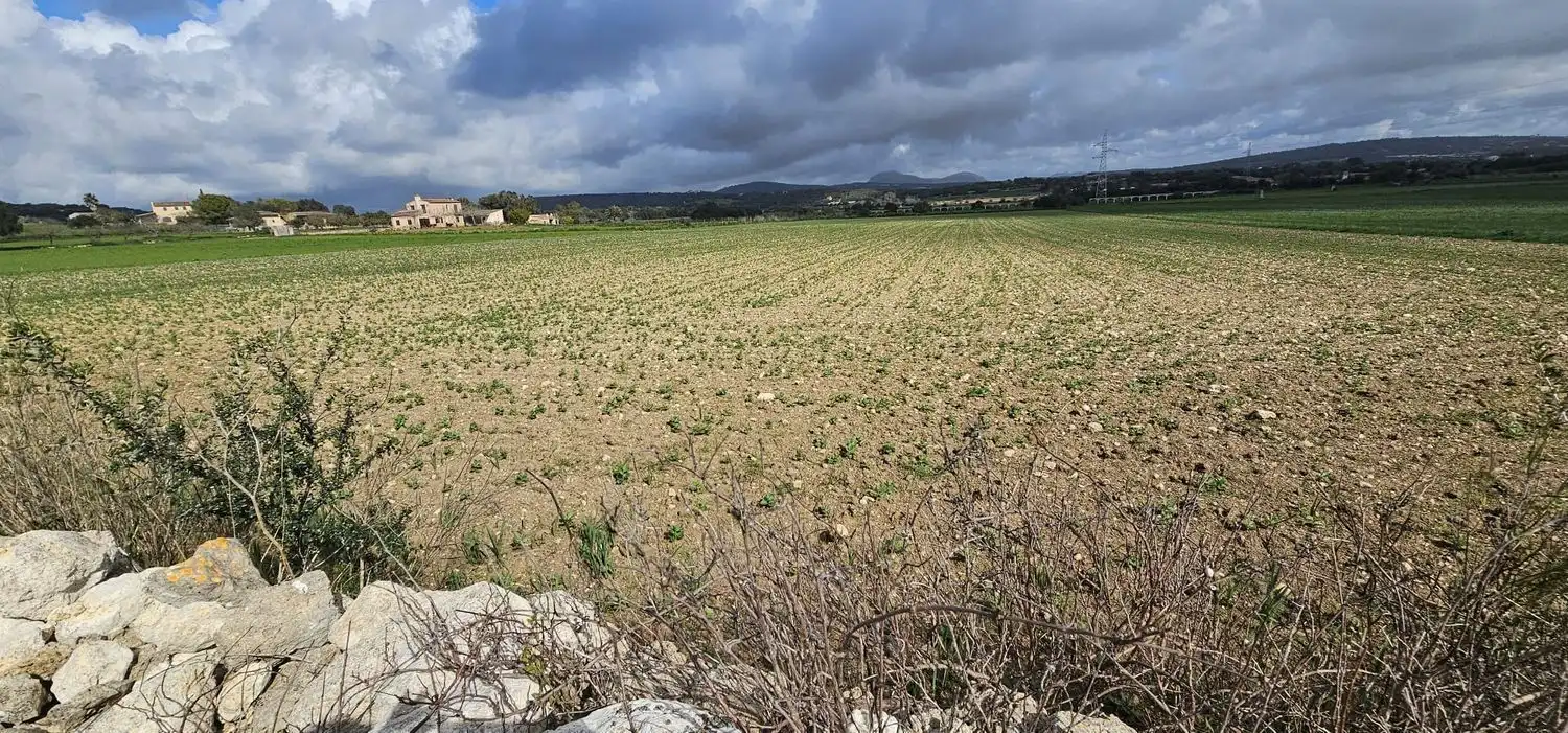 Maison rustique à vendre à Manacor Centre, imagen 6