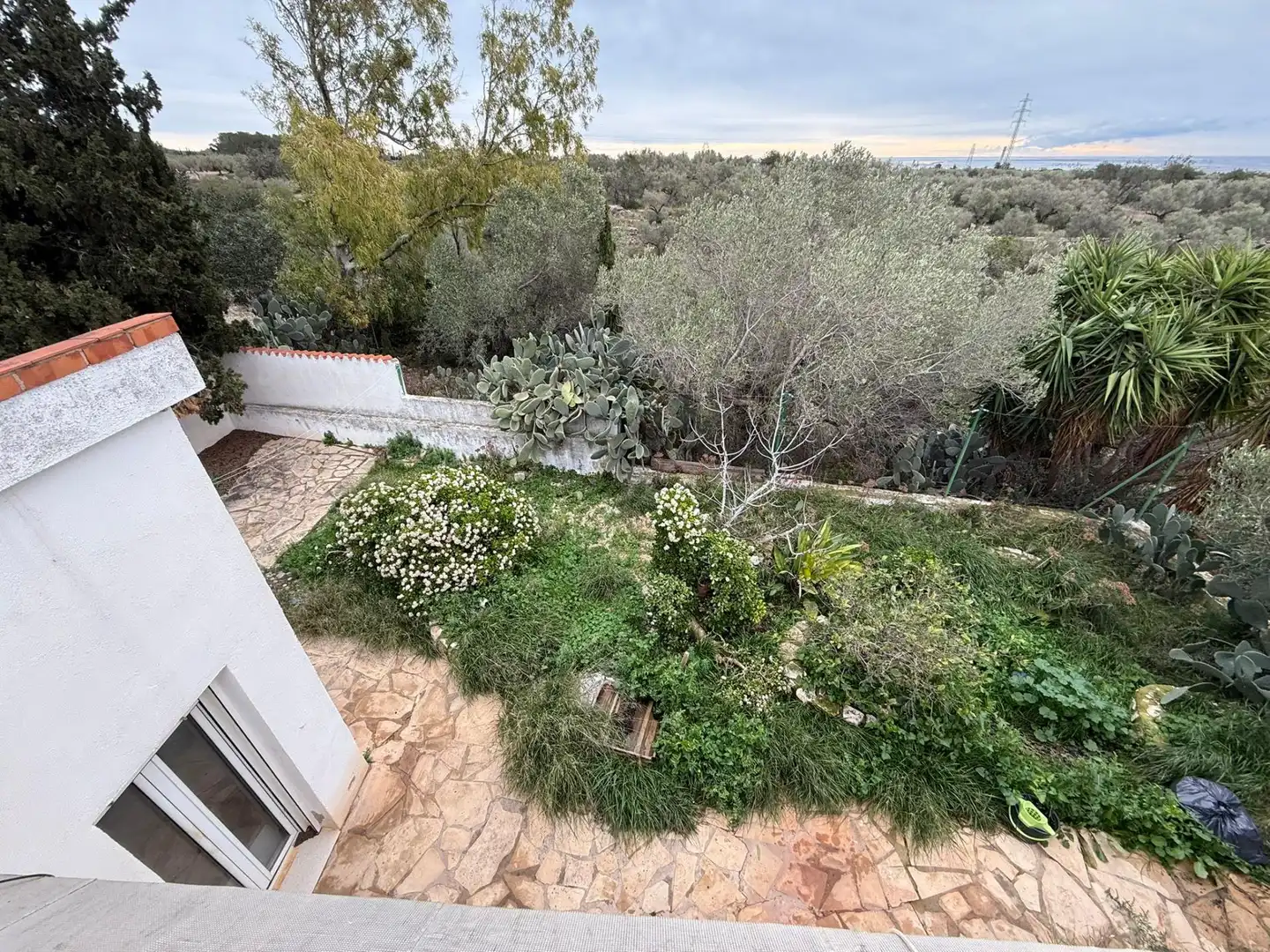 Jardín de Finca rústica en venta en Camarles