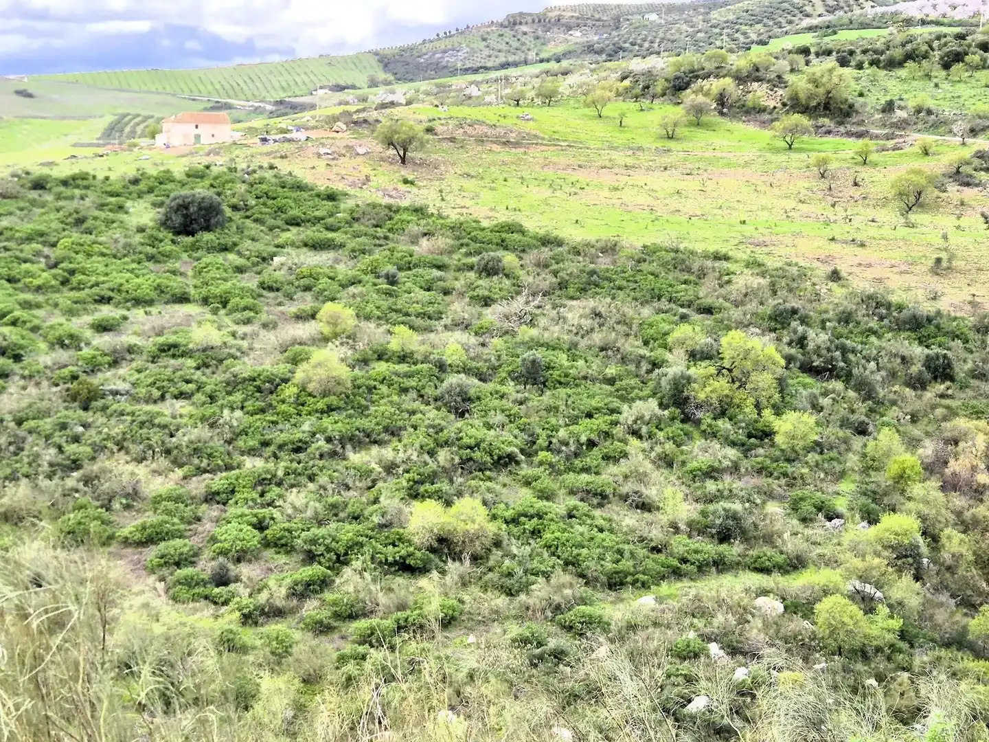 Wohnbaugrundstück zum Verkauf in Zona de la Vega, imagen 2