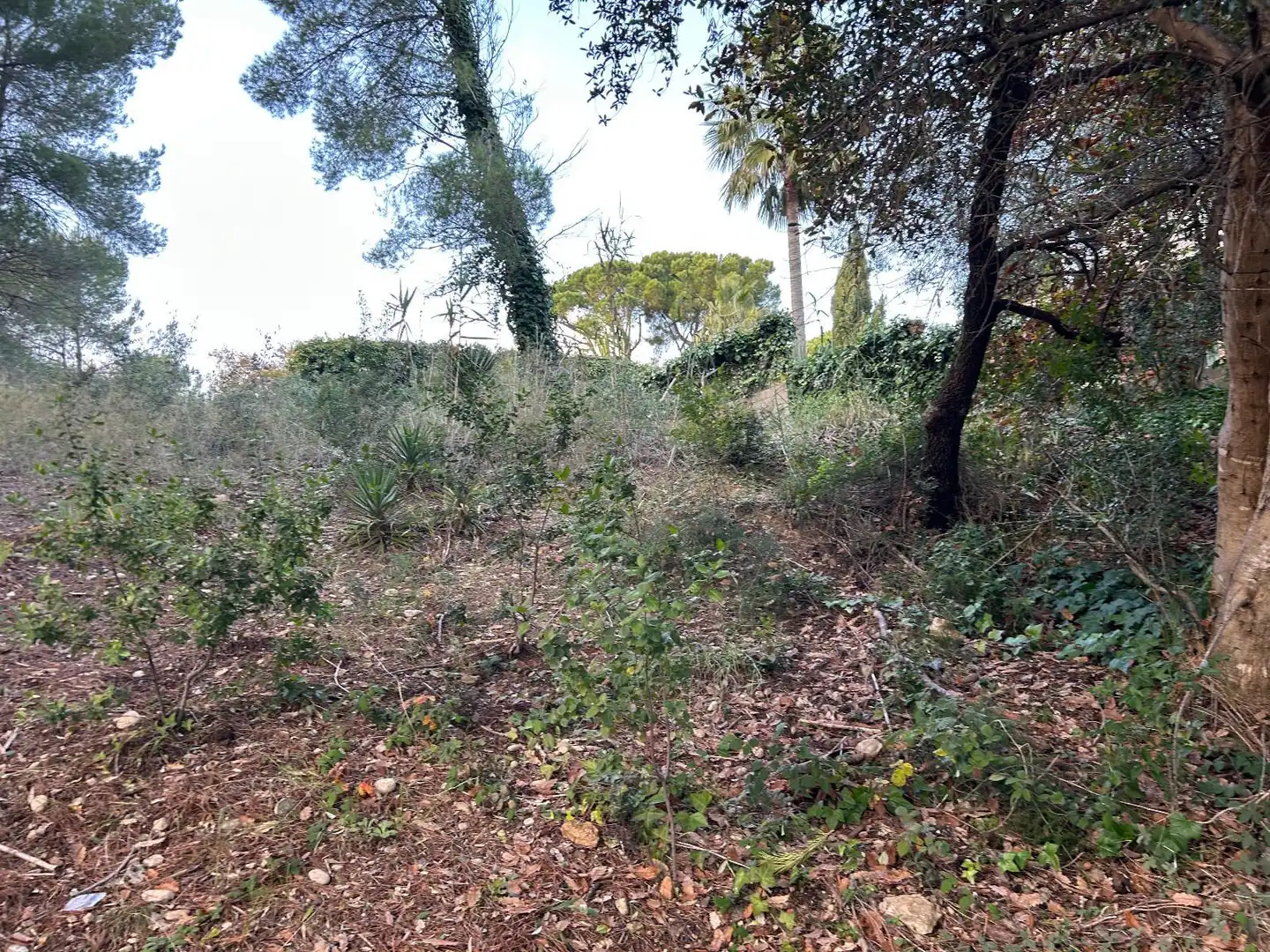 Rustikales Grundstück zum Verkauf in CAN FELIU, imagen 17
