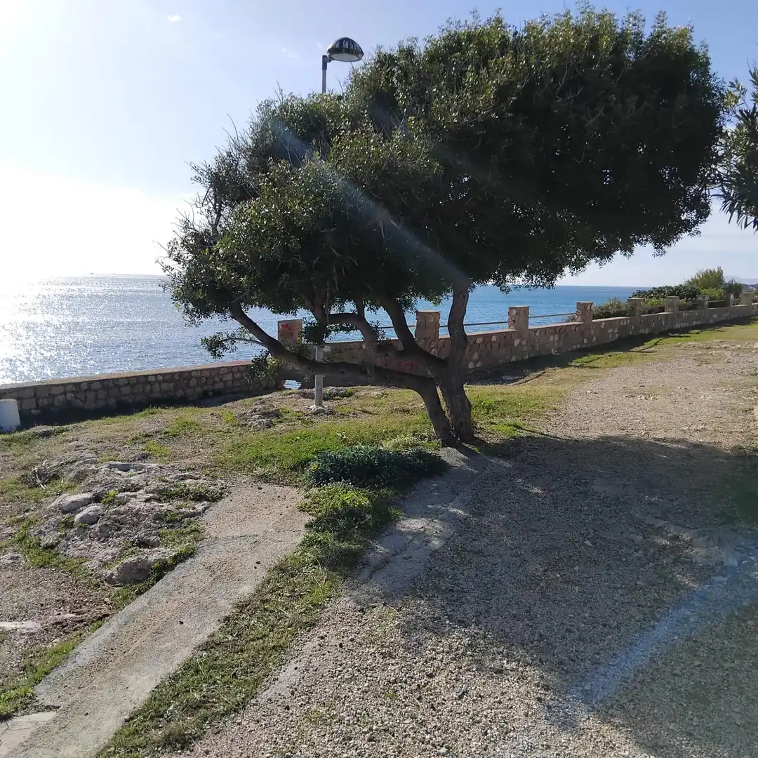 Ático en venta en L'Ametlla de Mar  con Jardín privado, Terraza y Amueblado