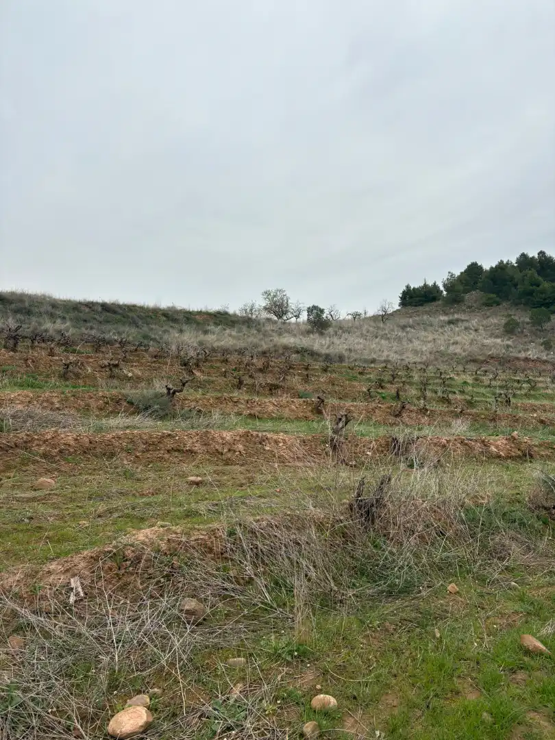 Terreni e lotti in vendita a Lardero, imagen 8