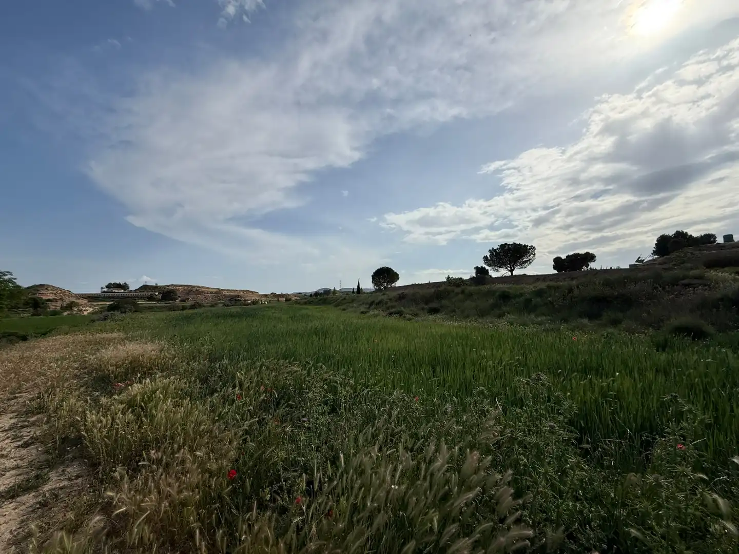 Terreni e lotti in vendita a Camino Capellán, imagen 36