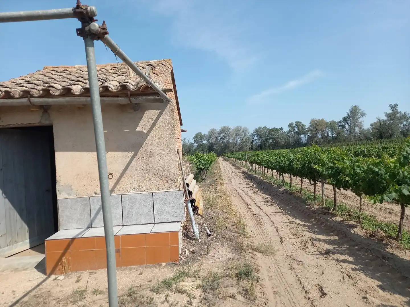Lands and plots for sale in Ginestar, imagen 18
