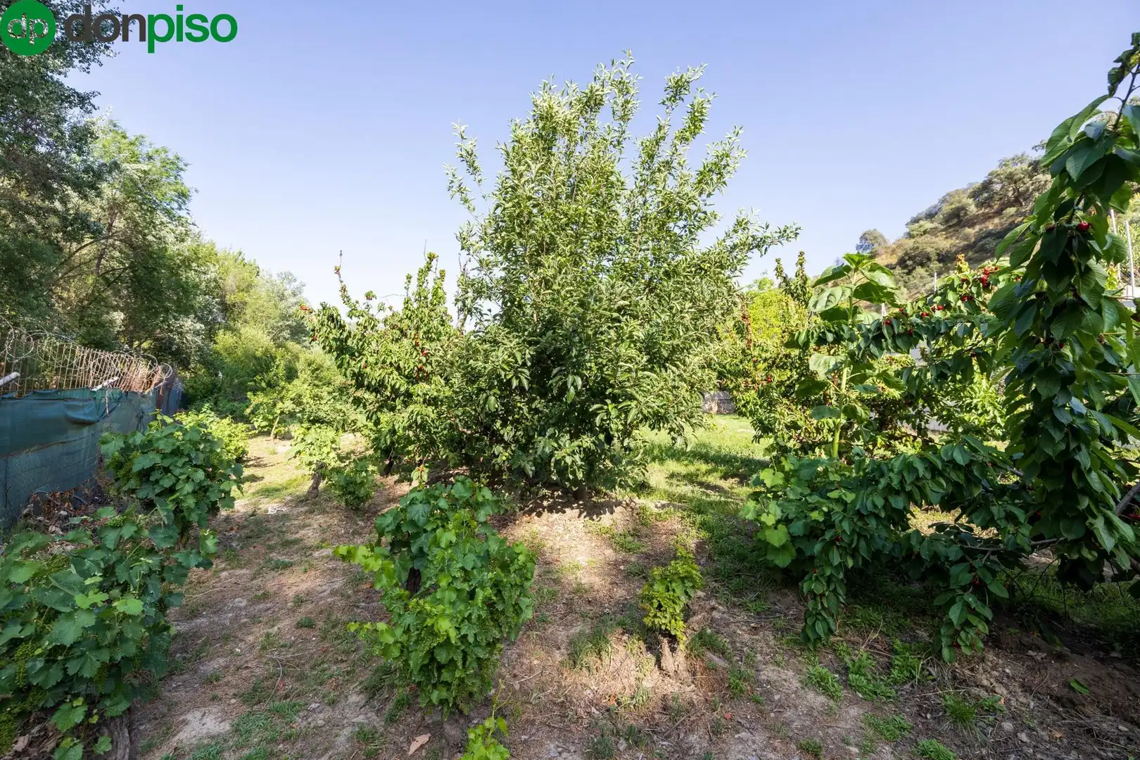 Terreno en venta en Paseo Paseo Duquesa, Pinos Genil