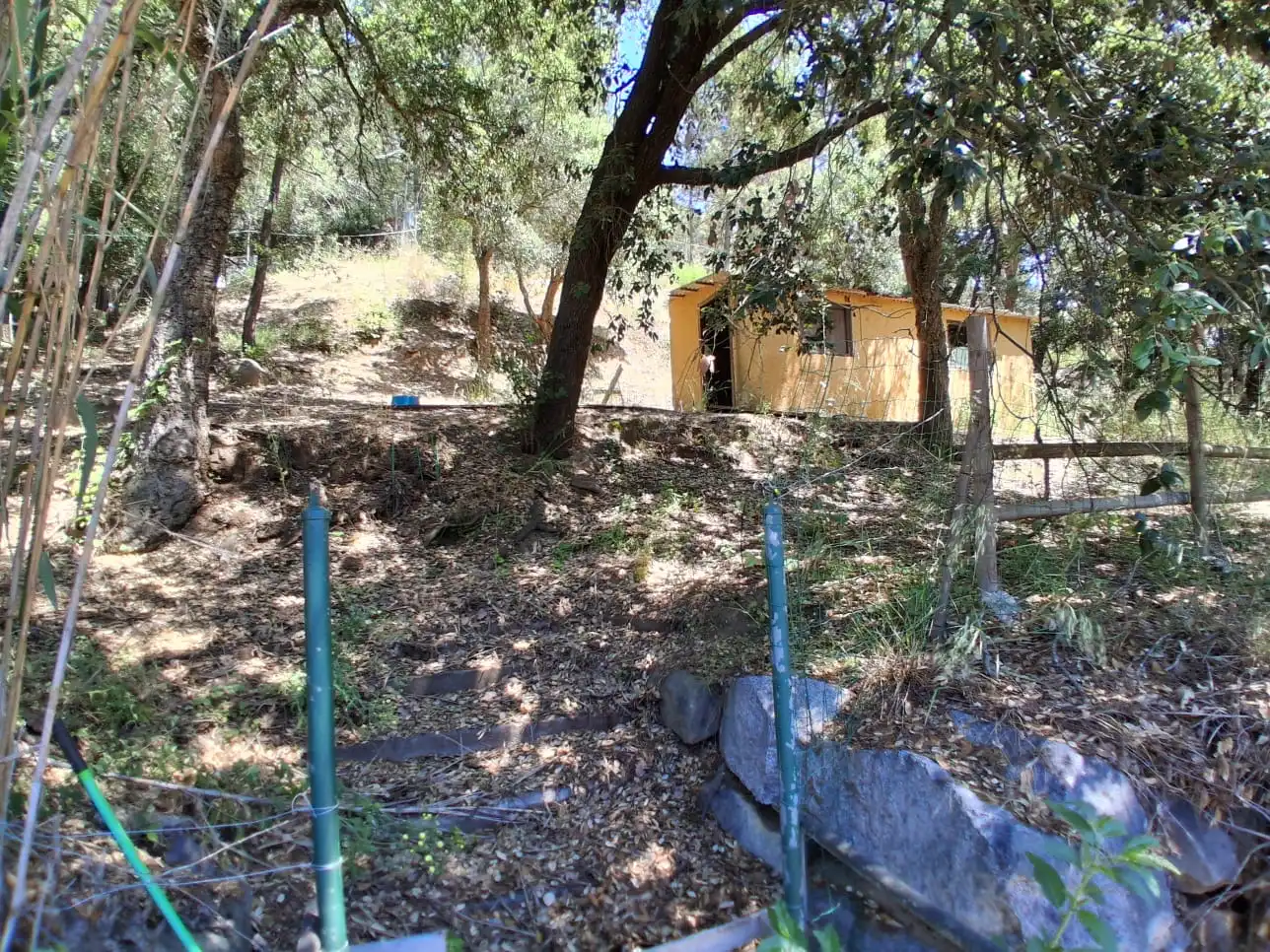 Casa con jardín en alquiler en Vallgorguina, imagen 16