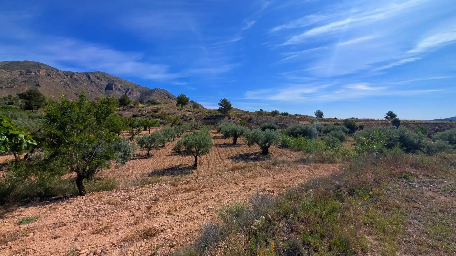 Casa con jardín en venta en Hondón de las Nieves / El Fondó de les Neus, imagen 14