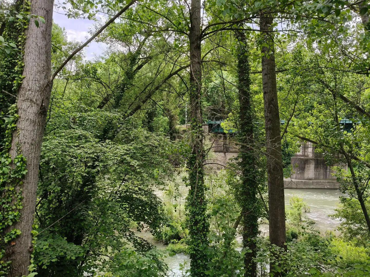 Jardín de Terreno en venta en Sant Quirze de Besora