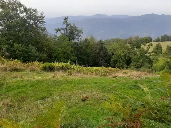 Finca rústica en venda en Aller amb Moblat