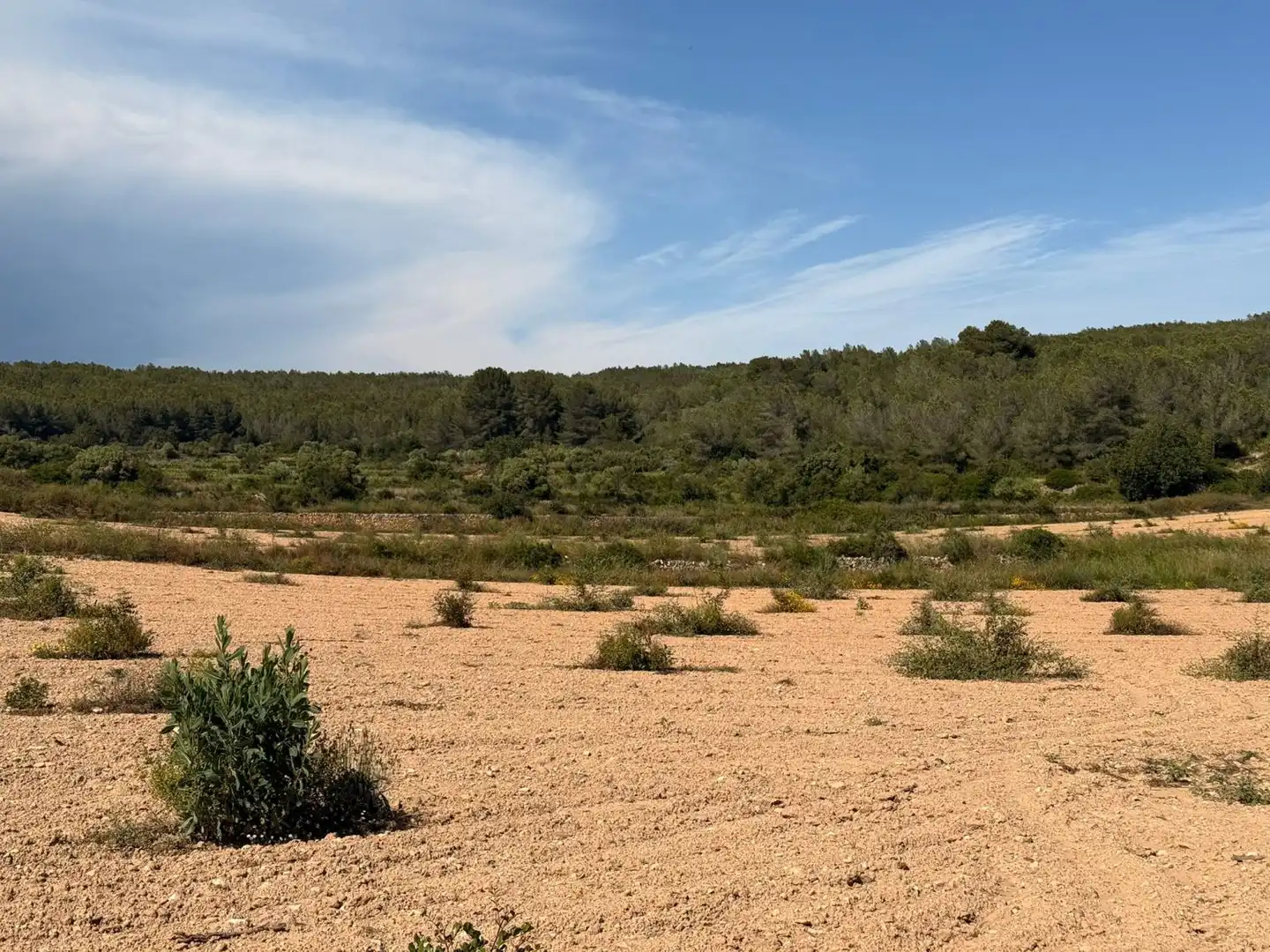 Finca rústica en venda a Vespella de Gaià