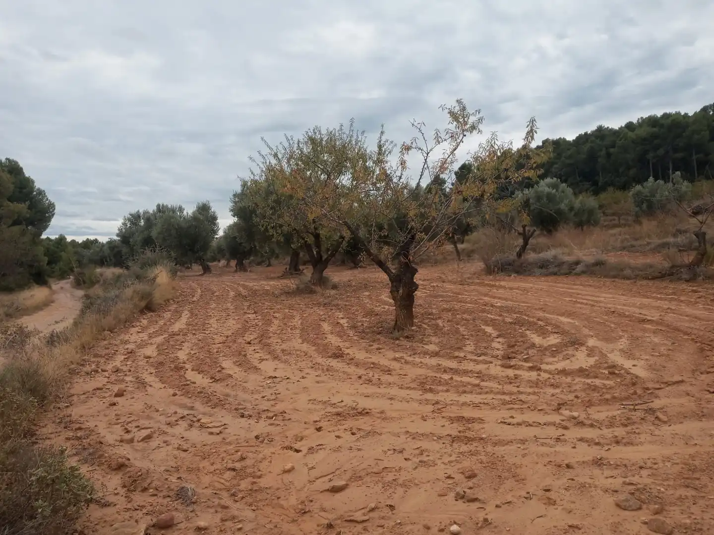 Terreni e lotti in vendita a La Fresneda, imagen 7
