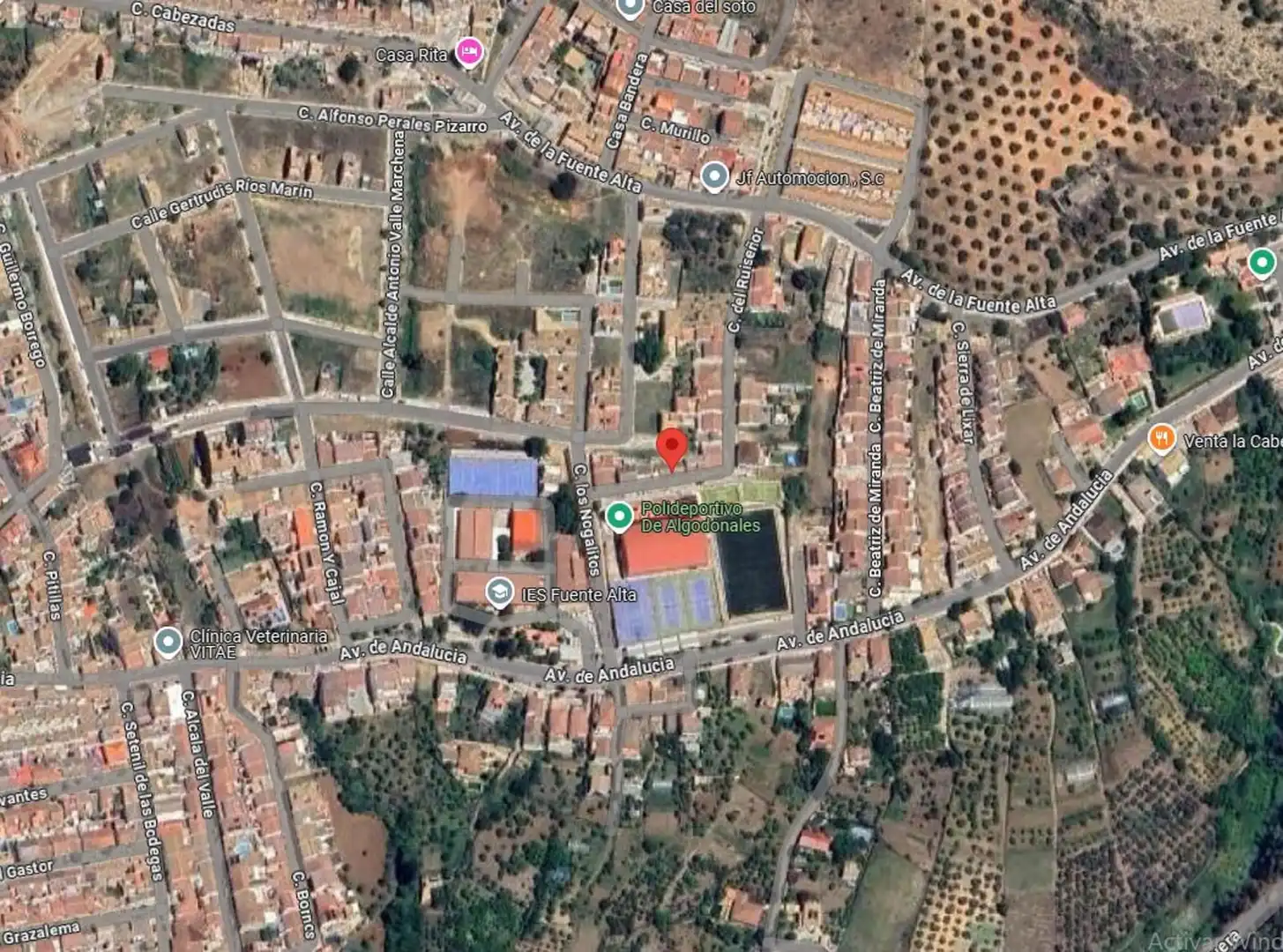 Pis en venda a Ruiseñor, Algodonales