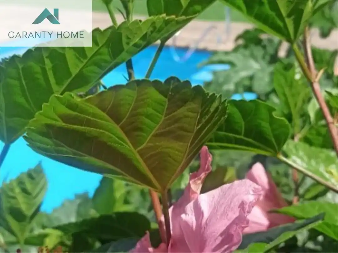 Chalet con terraza en venta en Solymar, imagen 33
