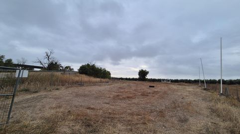 D. MAGNIFICO TERRERO RURAL, FRENTE A LA BASE LOGISTICA MILITAR!!!!, imatge 2