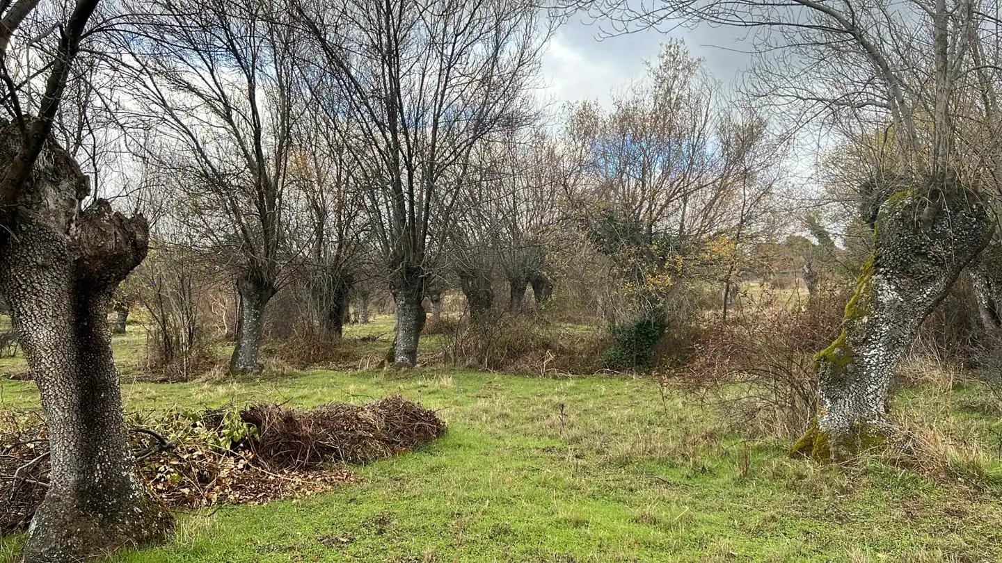 Casa o xalet en venda en Navas de Riofrío