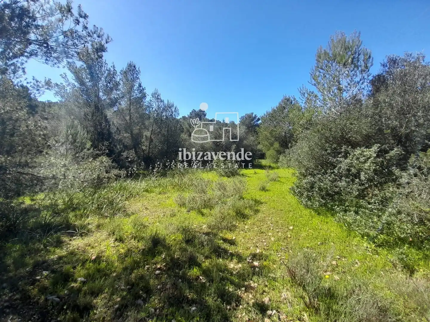 Terreny rústic en venda a es Pujolet, imagen 9