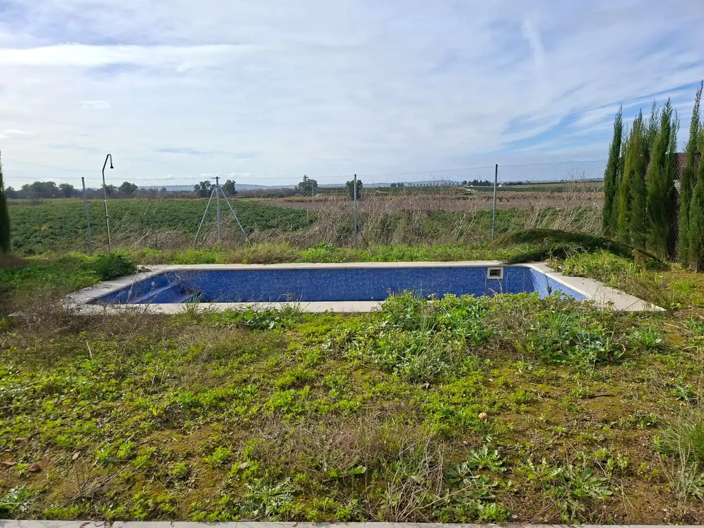 Piscina de Casa o xalet en venda en Guillena amb Jardí privat, Terrassa i Piscina