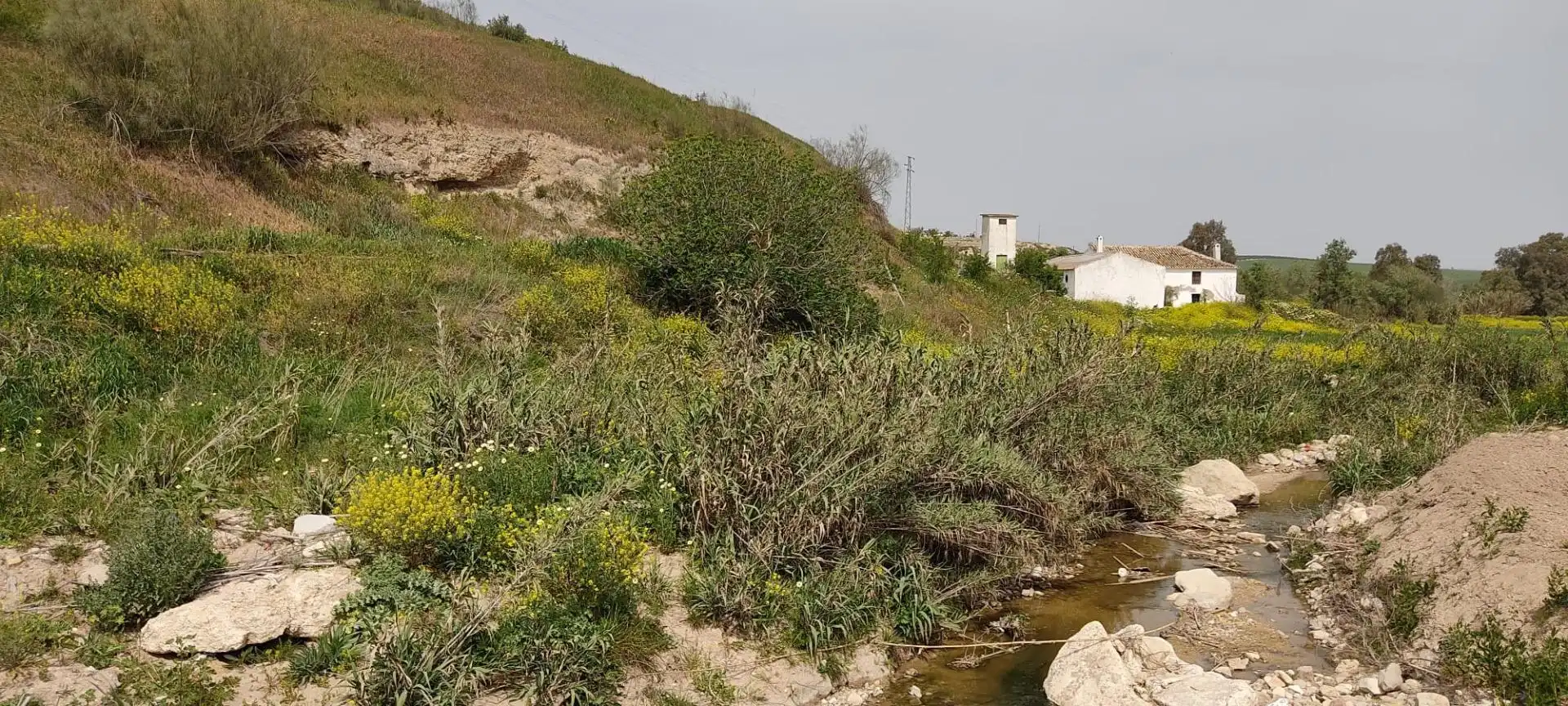 Land for sale in Herrera