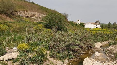 FINCA DE REGADÍO, CON VIVIENDA, ALMACÉN JARDÍN Y PISCINA, immagine 5