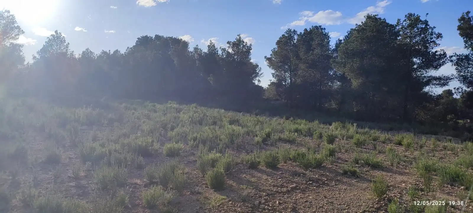 Rural land for sale in Urbanització Blasques 23 10, imagen 4